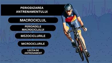 Teoria Antrenamentului Sportiv - TAS